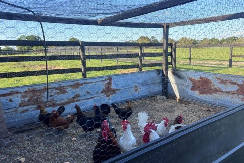 House in Bell, Florida 3 bedrooms, 144.93 sq.m. № 1736291 - photo 3