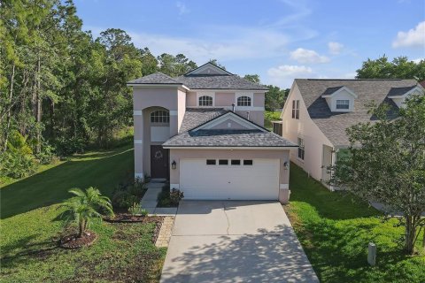House in Fish Hawk, Florida 4 bedrooms, 187.48 sq.m. № 1613189 - photo 19