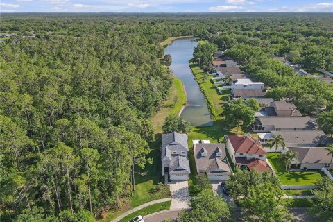 House in Fish Hawk, Florida 4 bedrooms, 187.48 sq.m. № 1613189 - photo 21