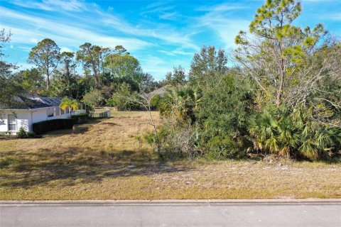 Terreno en venta en Palm Coast, Florida № 1716569 - foto 2
