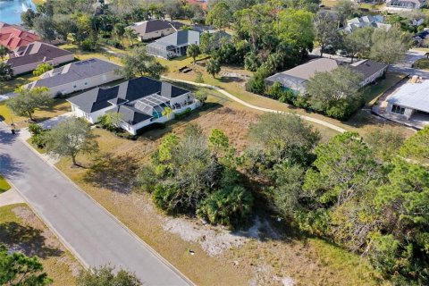 Terreno en venta en Palm Coast, Florida № 1716569 - foto 10