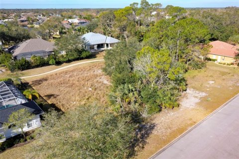 Terreno en venta en Palm Coast, Florida № 1716569 - foto 4