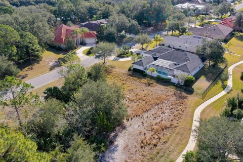 Terreno en venta en Palm Coast, Florida № 1716569 - foto 8