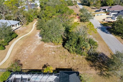 Terreno en venta en Palm Coast, Florida № 1716569 - foto 5