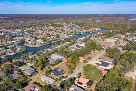 Terreno en venta en Palm Coast, Florida № 1716569 - foto 19