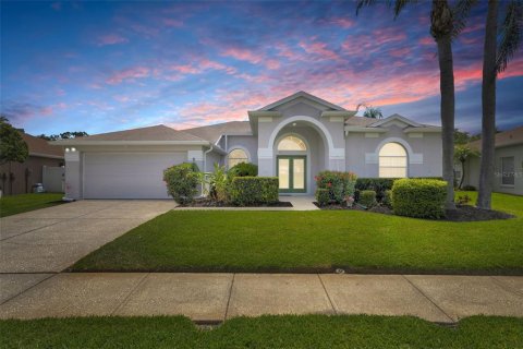 Casa en venta en Land O' Lakes, Florida, 4 dormitorios, 222.22 m2 № 1654078 - foto 1