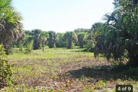 Land in St. Lucie, Florida № 1833750 - photo 4
