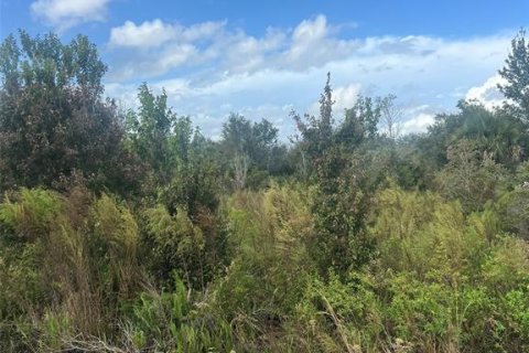 Land in Okeechobee, Florida № 2233096 - photo 2