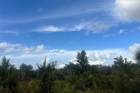 Terreno en Okeechobee, Florida № 2233096