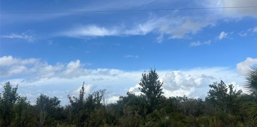 Land in Okeechobee, Florida № 2233096