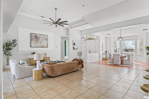 House in New Port Richey, Florida 4 bedrooms, 392.33 sq.m. № 1544341 - photo 14