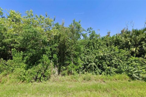 Terreno en Port Charlotte, Florida № 2214663