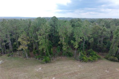 Land in Brooksville, Florida № 1776973 - photo 4