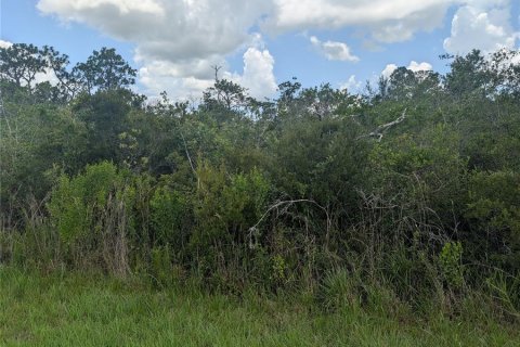 Terrain à Indian lake estates, Floride № 2164124