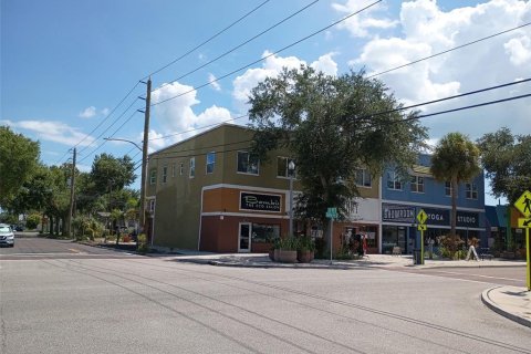 Studio in Saint Petersburg, Florida № 2203998