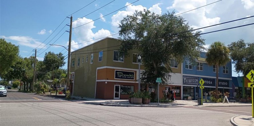 Studio in Saint Petersburg, Florida № 2203998