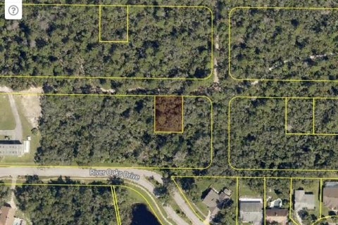 Land in Titusville, Florida № 2164844