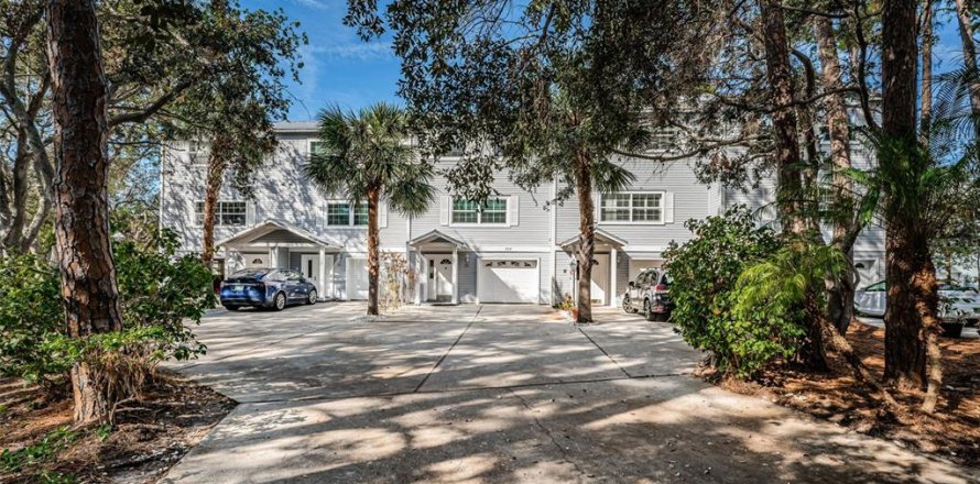 Adosado en Palm Harbor, Florida 3 dormitorios, 148.64 m2 № 1529791