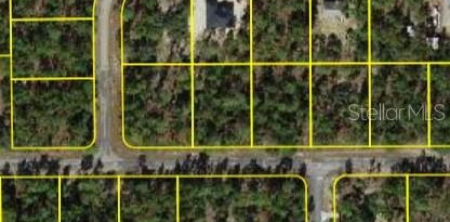 Land in Dunnellon, Florida № 1870249
