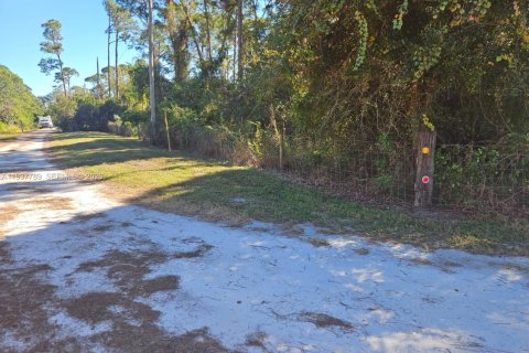 Land in St. Lucie, Florida № 1996371 - photo 6