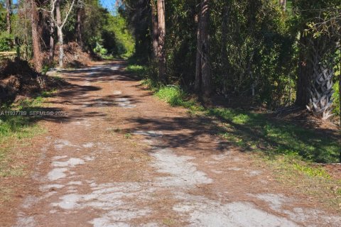 Land in St. Lucie, Florida № 1996371 - photo 7