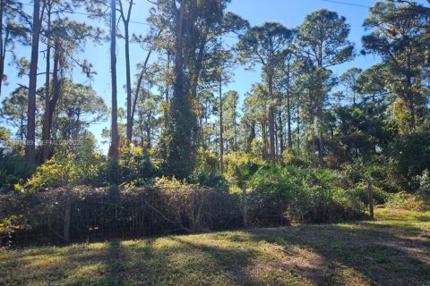 Land in St. Lucie, Florida № 1996371 - photo 4