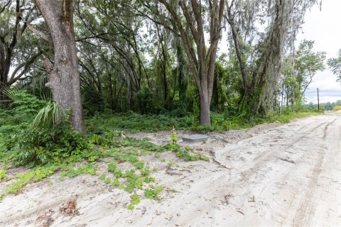 House in Gainesville, Florida 2 bedrooms, 73.11 sq.m. № 1339887 - photo 3