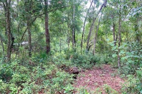 Land in Seville, Florida № 2363318