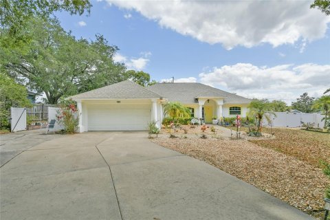 Villa ou maison à vendre à Howey-in-the-Hills, Floride: 3 chambres, 149.02 m2 № 1609047 - photo 1