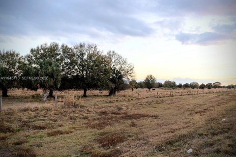 Immobilier commercial à vendre à LaBelle, Floride № 2088983 - photo 5
