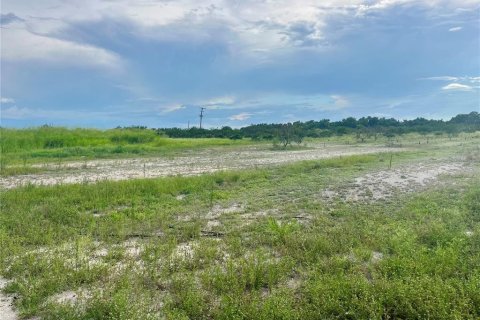 Land in Wauchula, Florida № 2205221 - photo 7