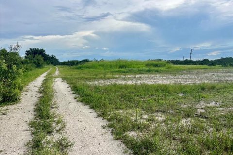 Land in Wauchula, Florida № 2205221 - photo 6