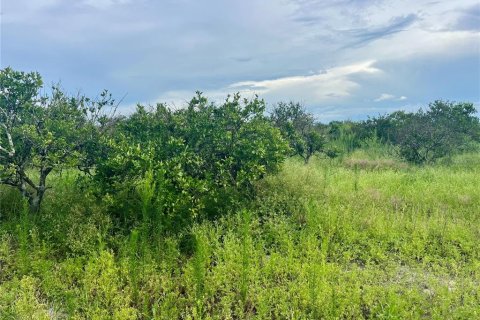 Land in Wauchula, Florida № 2205221 - photo 3