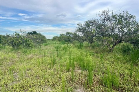 Land in Wauchula, Florida № 2205221 - photo 2