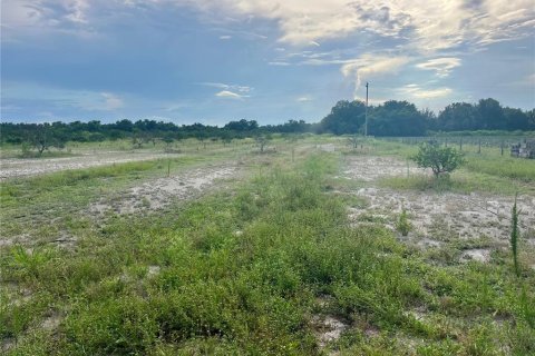 Land in Wauchula, Florida № 2205221 - photo 8