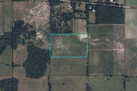 Land in Wauchula, Florida № 2205221
