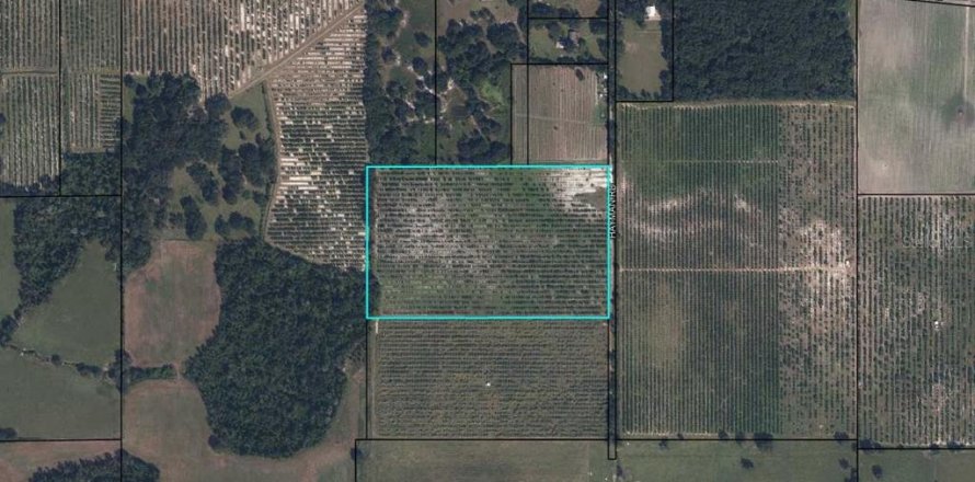 Land in Wauchula, Florida № 2205221