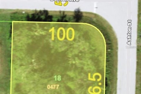 Land in Port Charlotte, Florida № 2225914 - photo 2