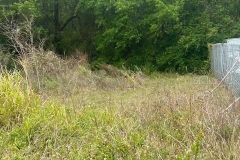 Land in Lake Wales, Florida № 1885986 - photo 2