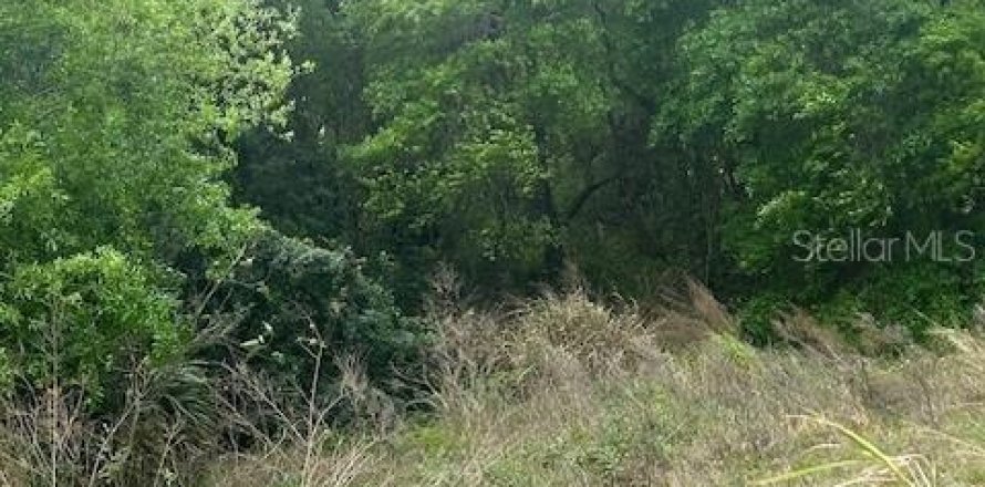 Land in Lake Wales, Florida № 1885986