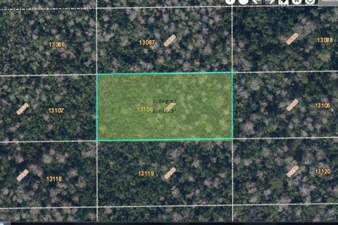 Terreno en Orlando, Florida № 2218722