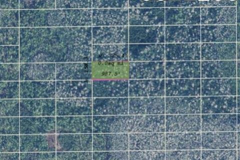 Land in Orlando, Florida № 2218722 - photo 2
