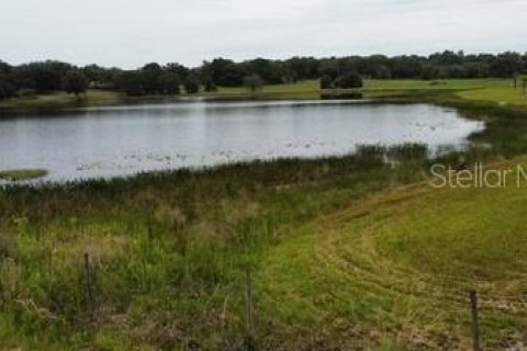 Land in Leesburg, Florida № 1773560 - photo 3