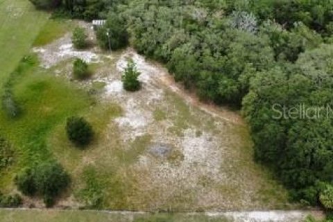 Land in Leesburg, Florida № 1773560 - photo 16