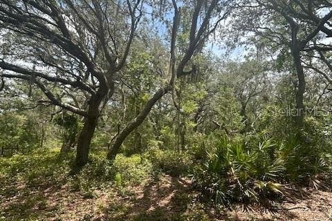 Land in Leesburg, Florida № 1773560 - photo 25