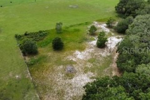 Land in Leesburg, Florida № 1773560 - photo 18