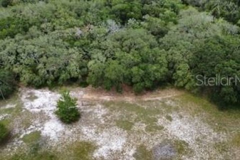 Land in Leesburg, Florida № 1773560 - photo 14