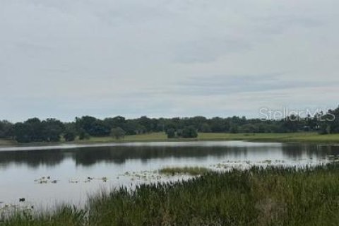 Land in Leesburg, Florida № 1773560 - photo 2