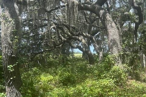 Land in Leesburg, Florida № 1773560 - photo 19