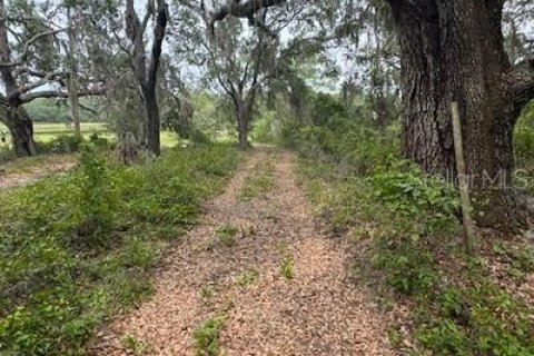 Land in Leesburg, Florida № 1773560 - photo 8